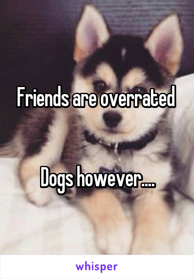 Friends are overrated 


Dogs however....