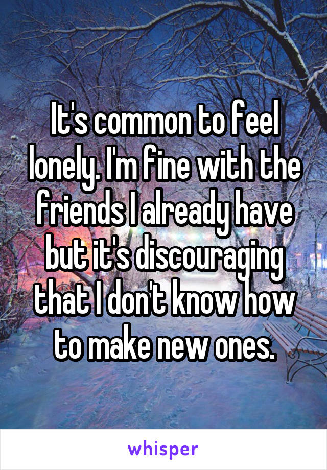 It's common to feel lonely. I'm fine with the friends I already have but it's discouraging that I don't know how to make new ones.