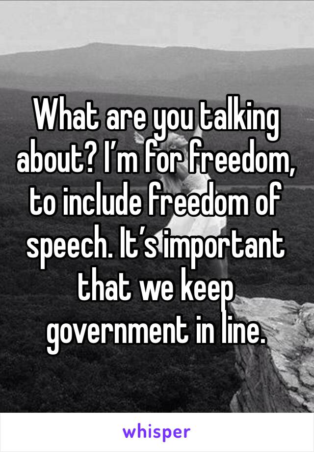 What are you talking about? I’m for freedom, to include freedom of speech. It’s important that we keep government in line. 