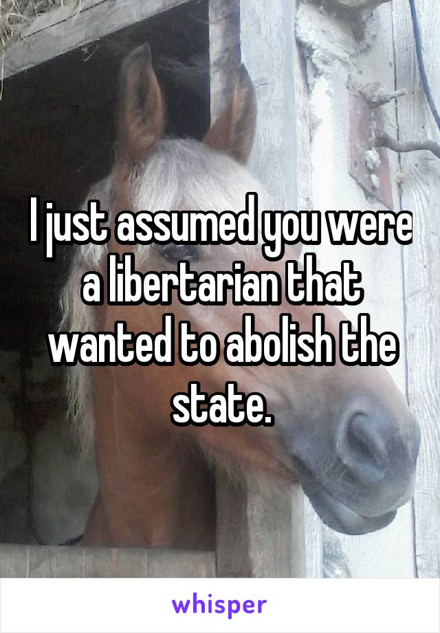 I just assumed you were a libertarian that wanted to abolish the state.