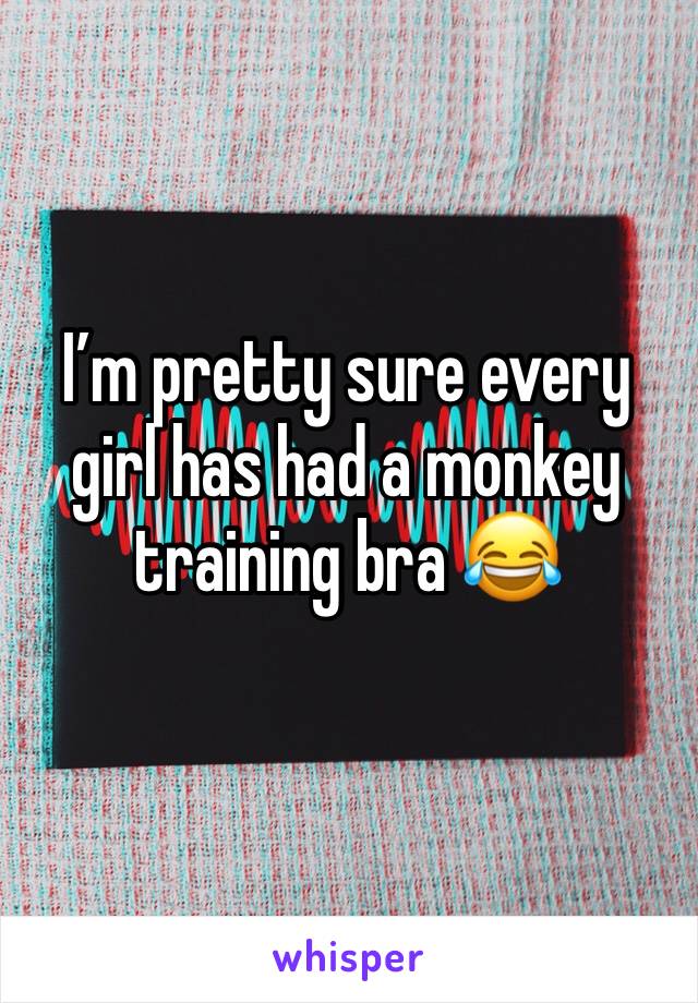 I’m pretty sure every girl has had a monkey training bra 😂