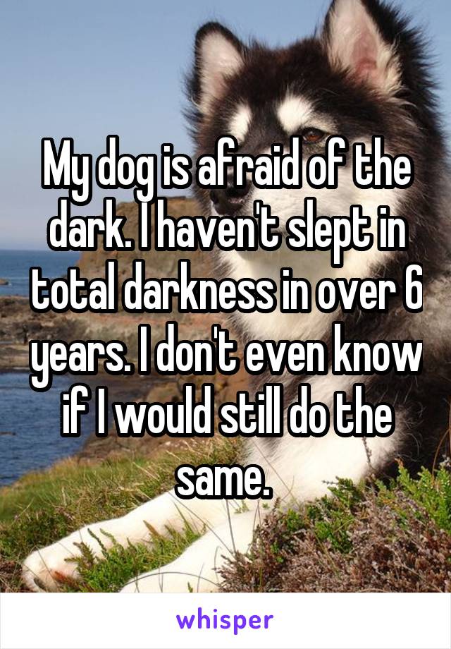 My dog is afraid of the dark. I haven't slept in total darkness in over 6 years. I don't even know if I would still do the same. 