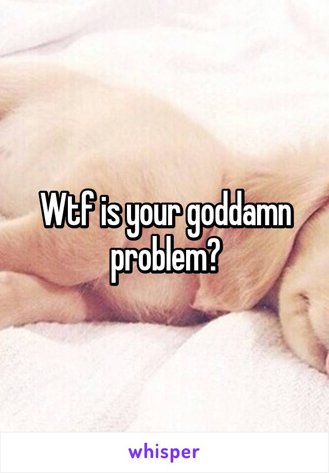 Wtf is your goddamn problem?