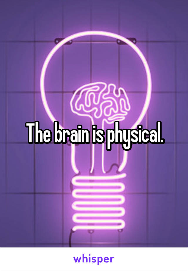 The brain is physical.