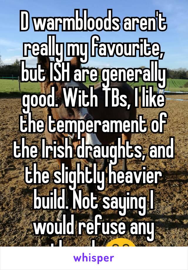 D warmbloods aren't really my favourite, but ISH are generally good. With TBs, I like the temperament of the Irish draughts, and the slightly heavier build. Not saying I would refuse any though 😂