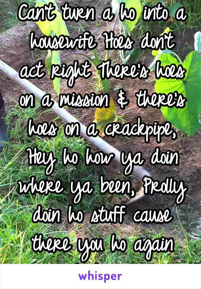 Can't turn a ho into a housewife Hoes don't act right There's hoes on a mission & there's hoes on a crackpipe, Hey ho how ya doin where ya been, Prolly doin ho stuff cause there you ho again
-Ludacris