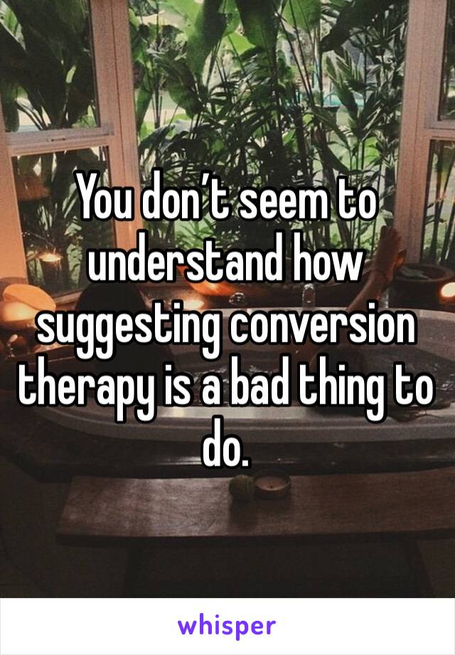 You don’t seem to understand how suggesting conversion therapy is a bad thing to do. 