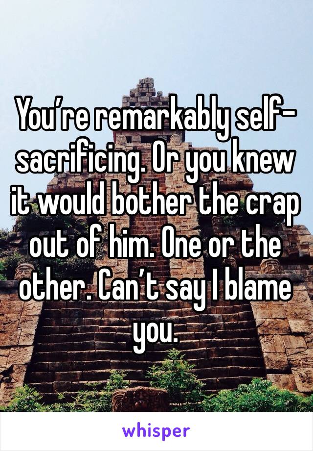 You’re remarkably self-sacrificing. Or you knew it would bother the crap out of him. One or the other. Can’t say I blame you.