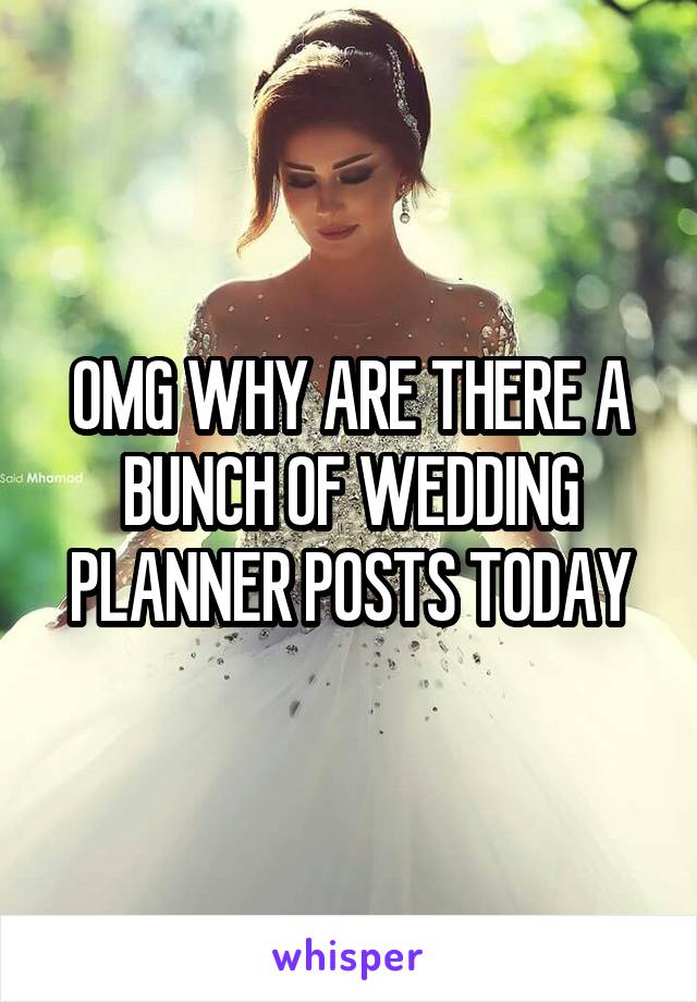 OMG WHY ARE THERE A BUNCH OF WEDDING PLANNER POSTS TODAY