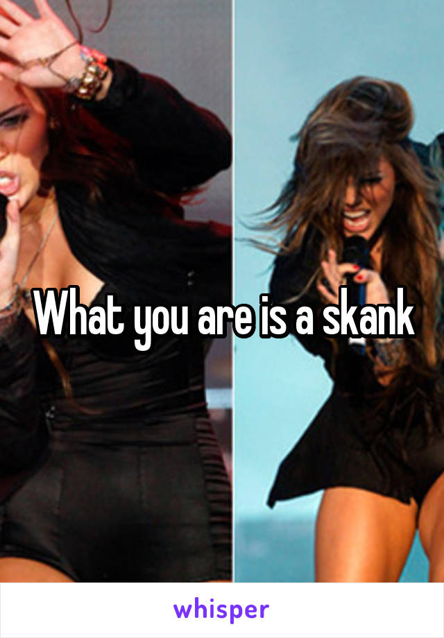 What you are is a skank