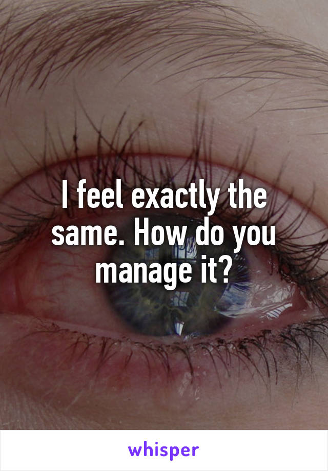 I feel exactly the same. How do you manage it?