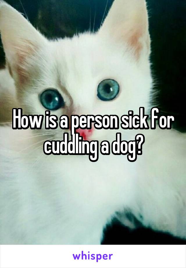 How is a person sick for cuddling a dog?