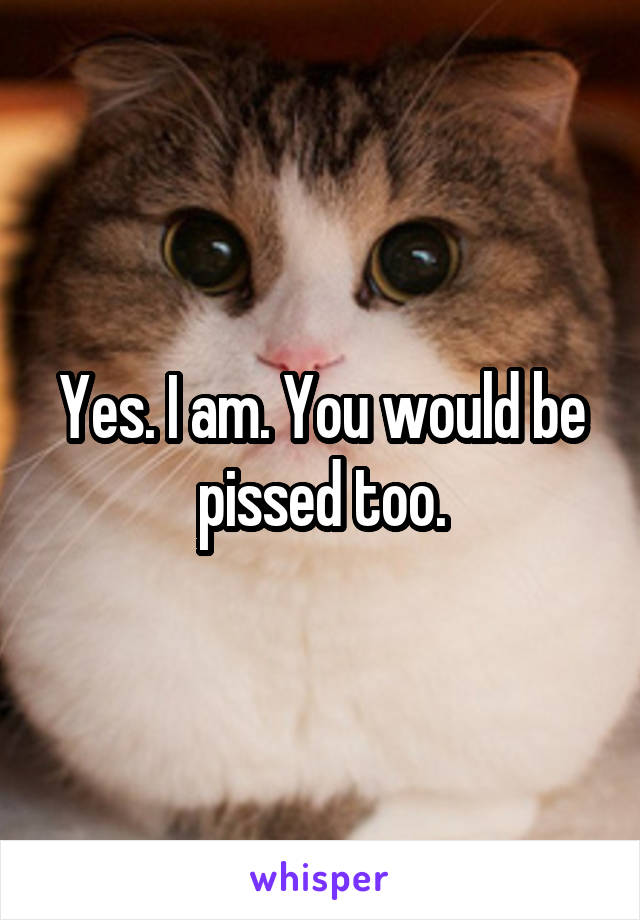 Yes. I am. You would be pissed too.