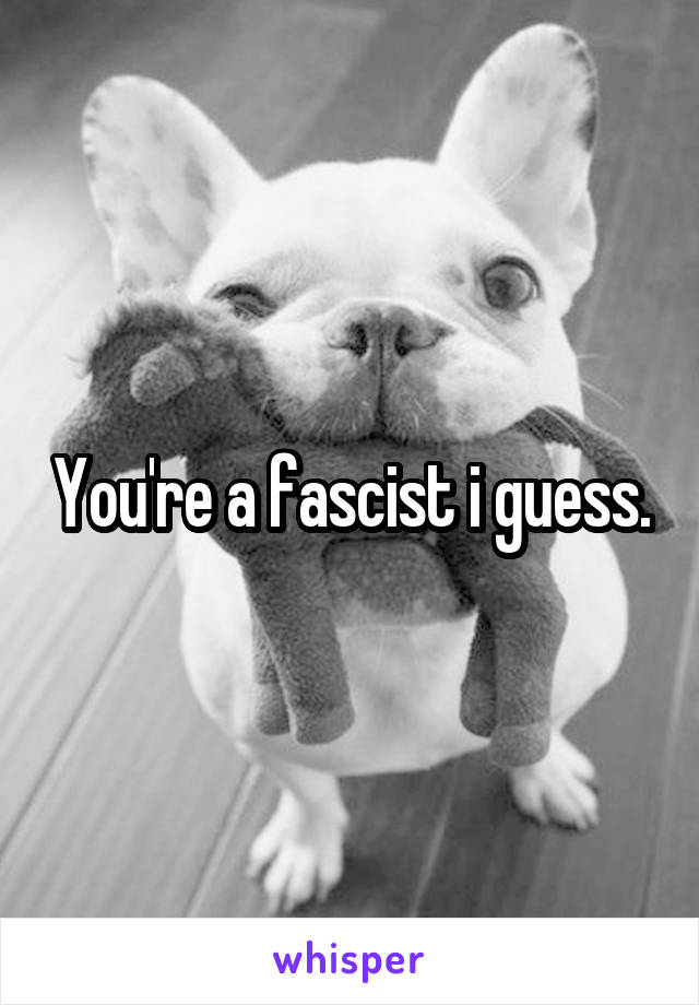 You're a fascist i guess.