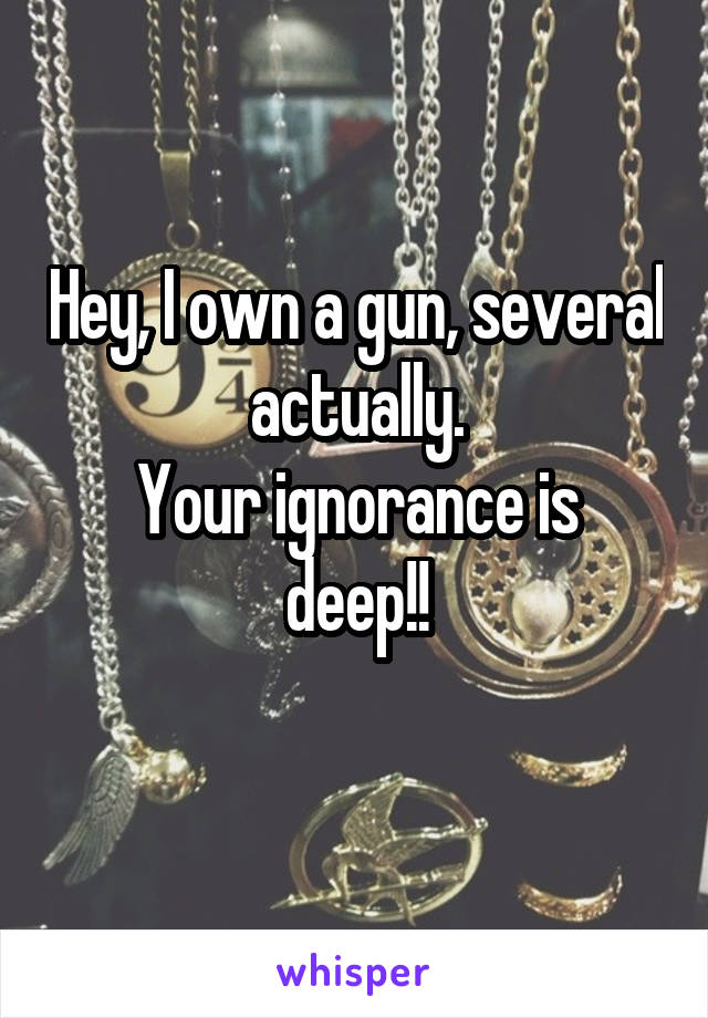 Hey, I own a gun, several actually.
Your ignorance is deep!!
