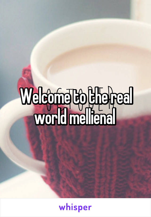 Welcome to the real world mellienal 
