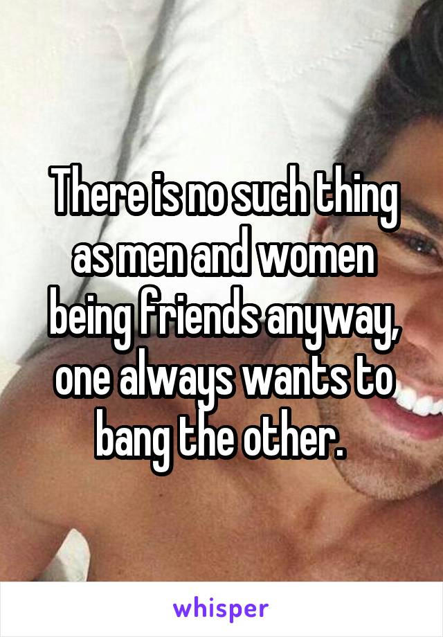 There is no such thing as men and women being friends anyway, one always wants to bang the other. 