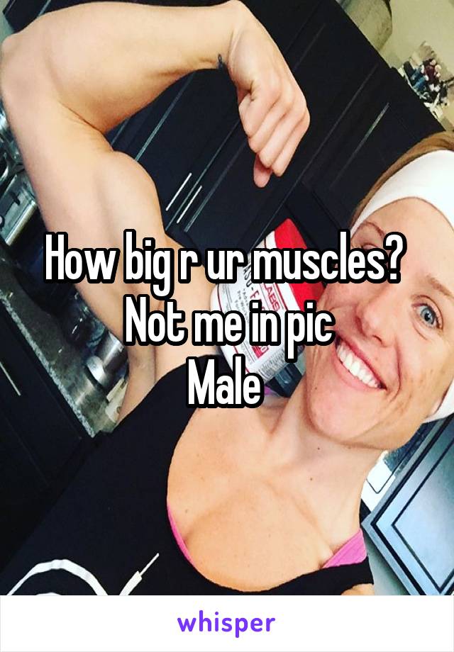 How big r ur muscles? 
Not me in pic
Male 