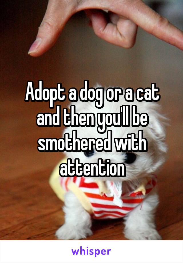 Adopt a dog or a cat and then you'll be smothered with attention
