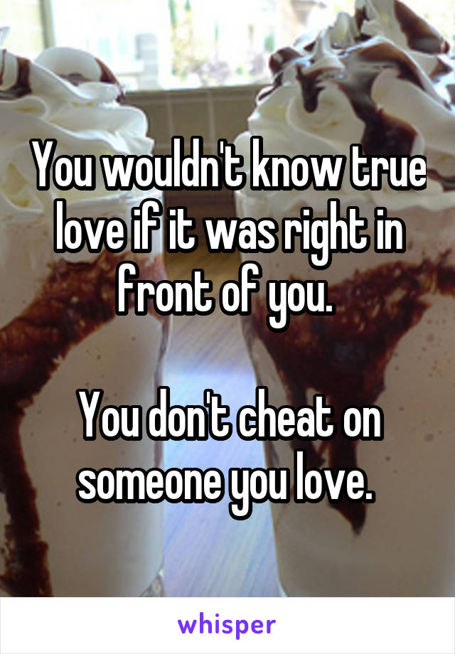 You wouldn't know true love if it was right in front of you. 

You don't cheat on someone you love. 