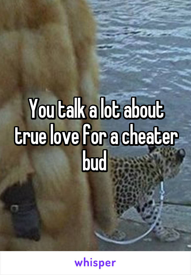 You talk a lot about true love for a cheater bud 