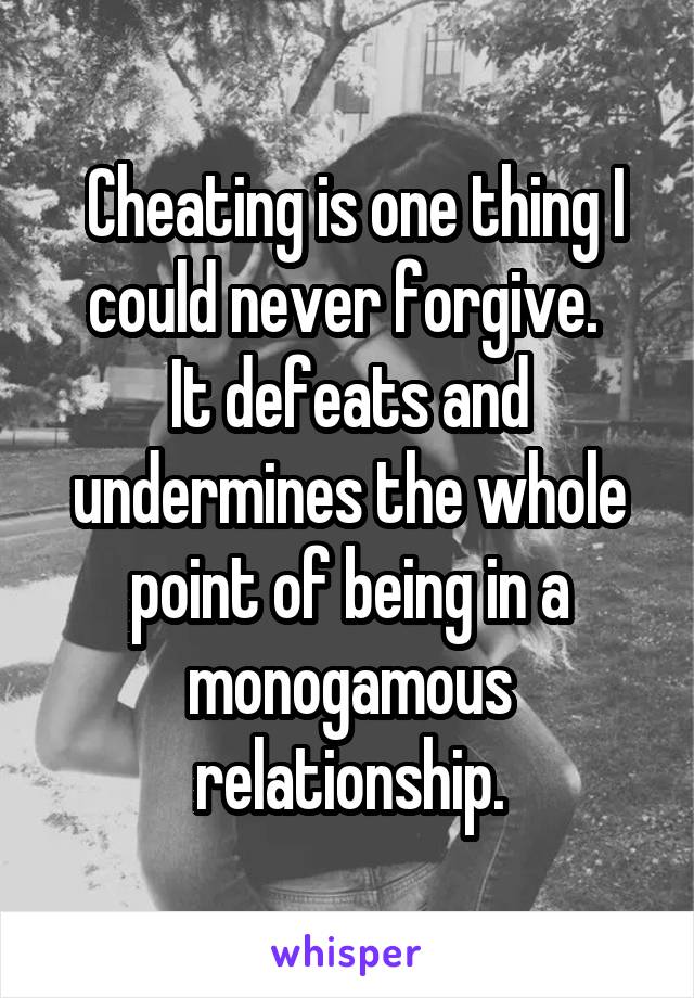  Cheating is one thing I could never forgive. 
It defeats and undermines the whole point of being in a monogamous relationship.