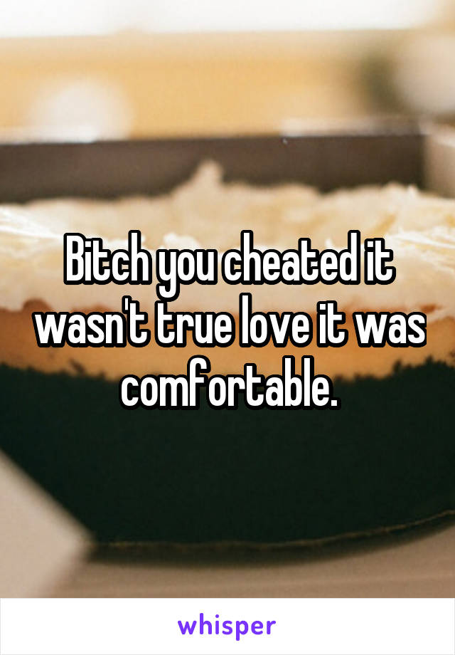 Bitch you cheated it wasn't true love it was comfortable.