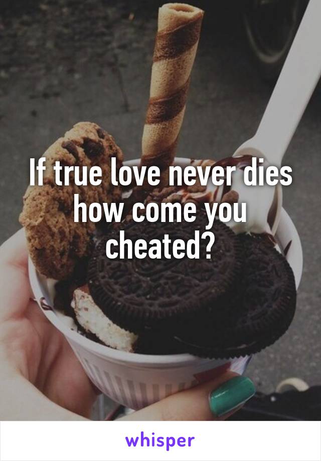 If true love never dies how come you cheated?
