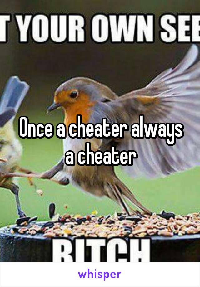 Once a cheater always a cheater