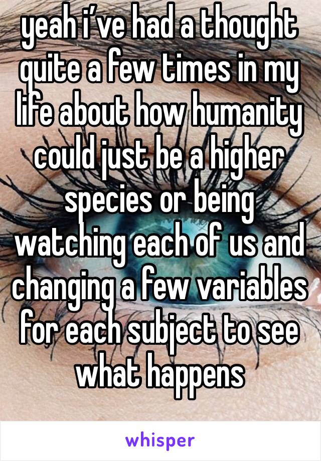 yeah i’ve had a thought quite a few times in my life about how humanity could just be a higher species or being watching each of us and changing a few variables for each subject to see what happens 