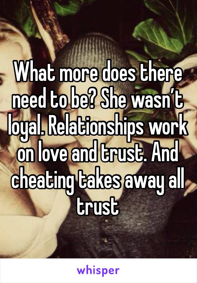 What more does there need to be? She wasn’t loyal. Relationships work on love and trust. And cheating takes away all trust