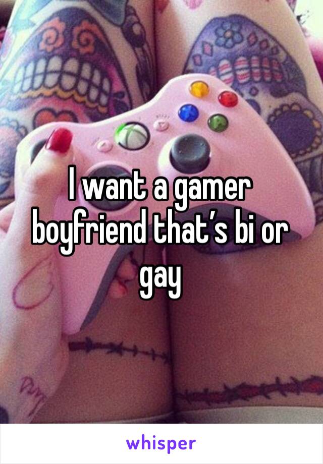 I want a gamer boyfriend that’s bi or gay