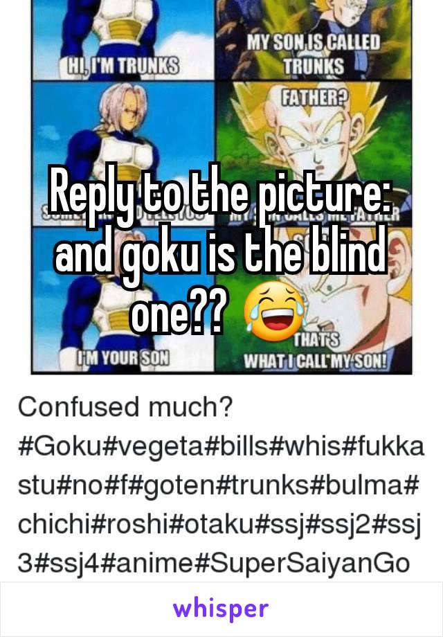 Reply to the picture: and goku is the blind one?? 😂