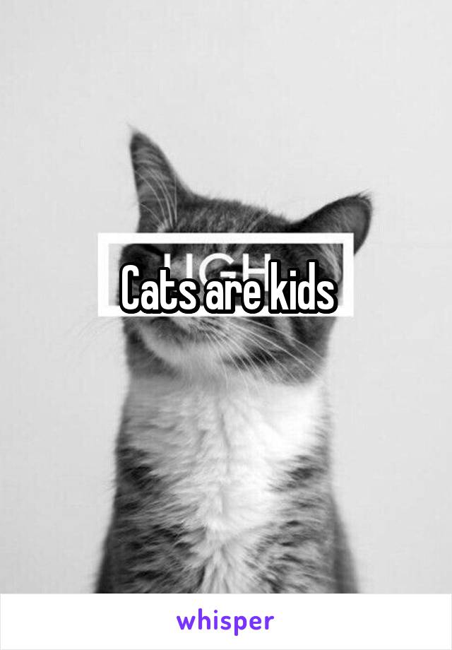 Cats are kids
