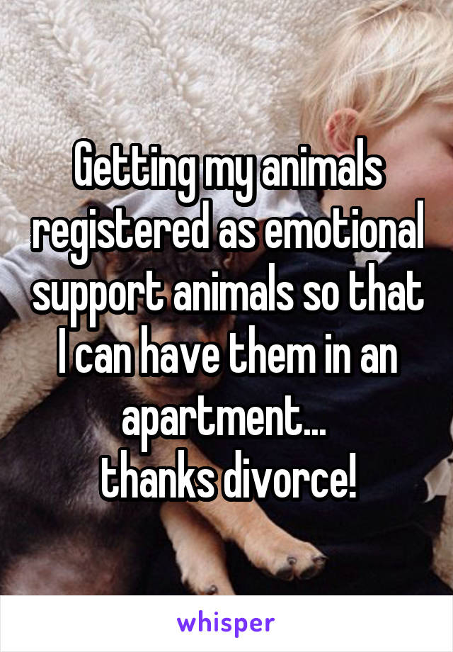 Getting my animals registered as emotional support animals so that I can have them in an apartment... 
thanks divorce!