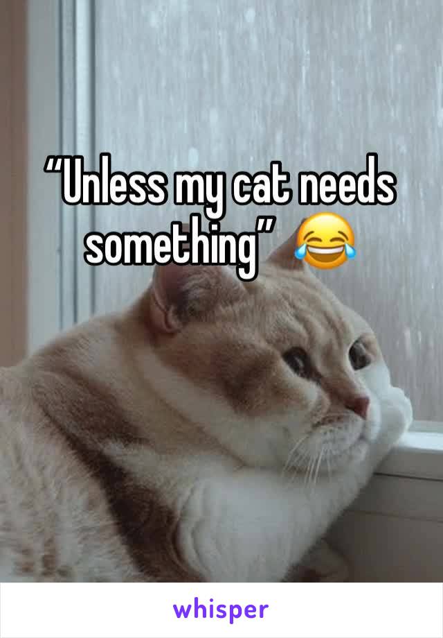 “Unless my cat needs something”  😂 