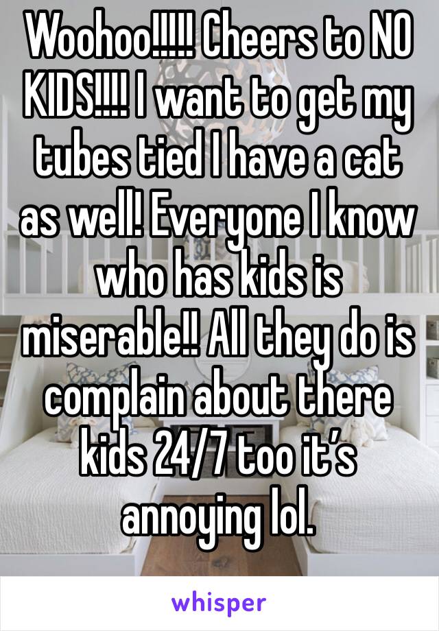 Woohoo!!!!! Cheers to NO KIDS!!!! I want to get my tubes tied I have a cat as well! Everyone I know who has kids is miserable!! All they do is complain about there kids 24/7 too it’s annoying lol. 