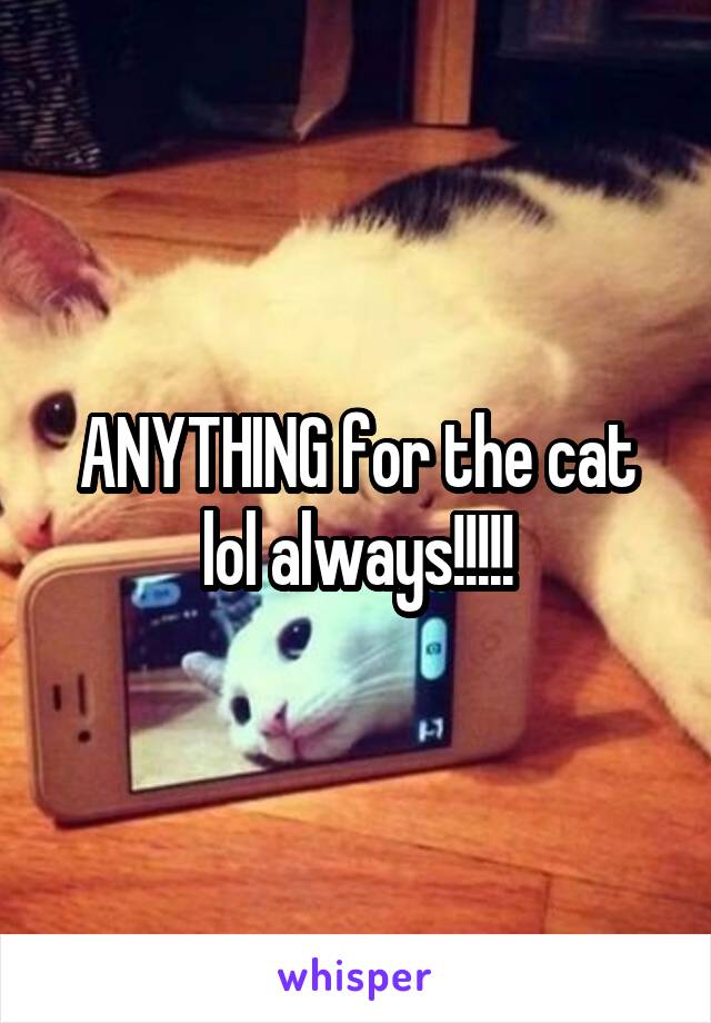 ANYTHING for the cat lol always!!!!!
