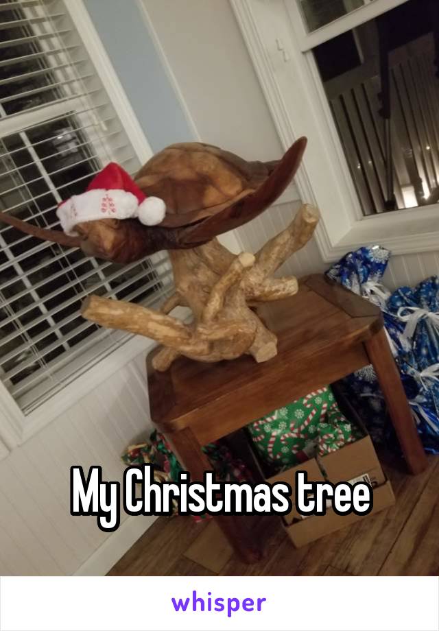 





My Christmas tree