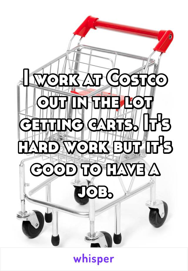 I work at Costco out in the lot getting carts. It's hard work but it's good to have a job.
