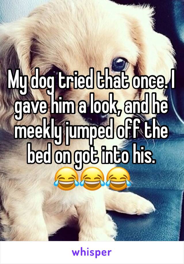 My dog tried that once. I gave him a look, and he meekly jumped off the bed on got into his.
😂😂😂