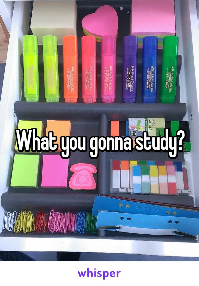 What you gonna study?