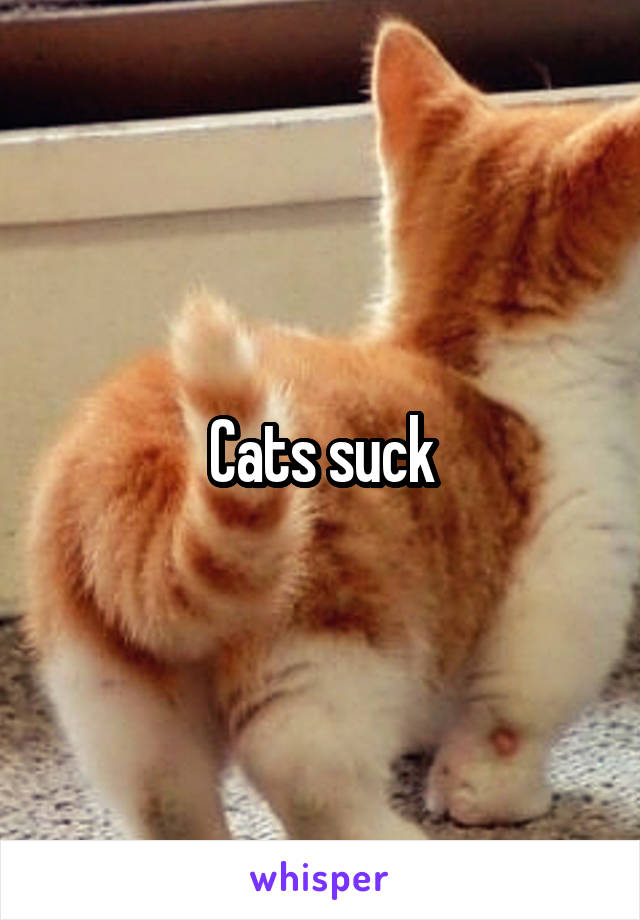 Cats suck