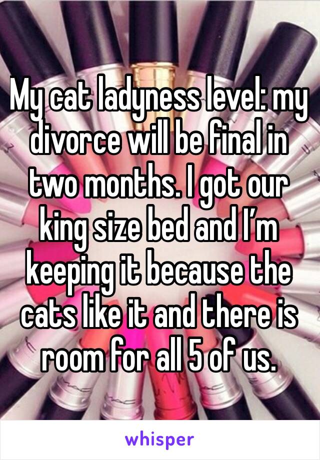 My cat ladyness level: my divorce will be final in two months. I got our king size bed and I’m keeping it because the cats like it and there is room for all 5 of us. 