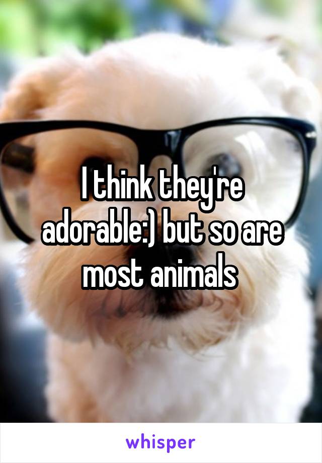 I think they're adorable:) but so are most animals 