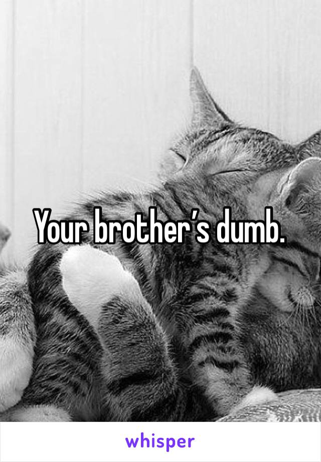 Your brother’s dumb. 