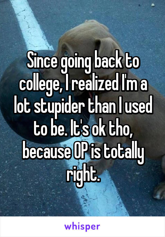 Since going back to college, I realized I'm a lot stupider than I used to be. It's ok tho, because OP is totally right.
