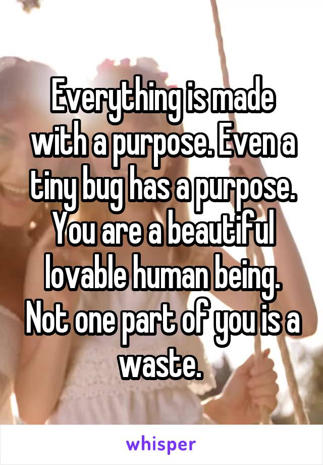 Everything is made with a purpose. Even a tiny bug has a purpose. You are a beautiful lovable human being. Not one part of you is a waste. 