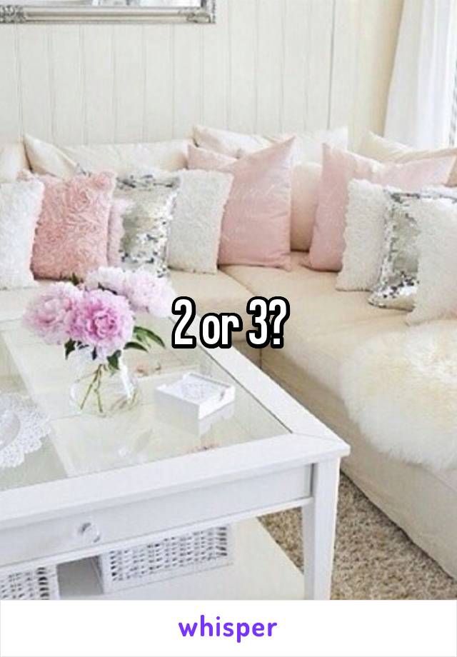 2 or 3?