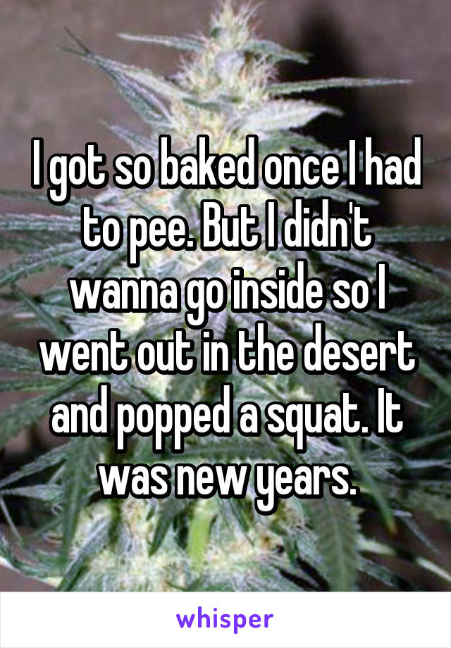 I got so baked once I had to pee. But I didn't wanna go inside so I went out in the desert and popped a squat. It was new years.